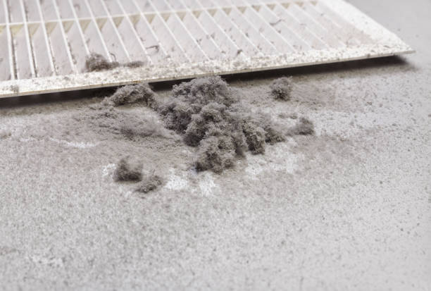 Best Affordable Air Duct Cleaning  in Cooperstown, NY
