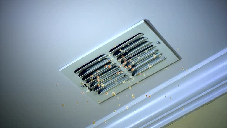 Best Air Duct Cleaning Company Near Me  in Cooperstown, NY
